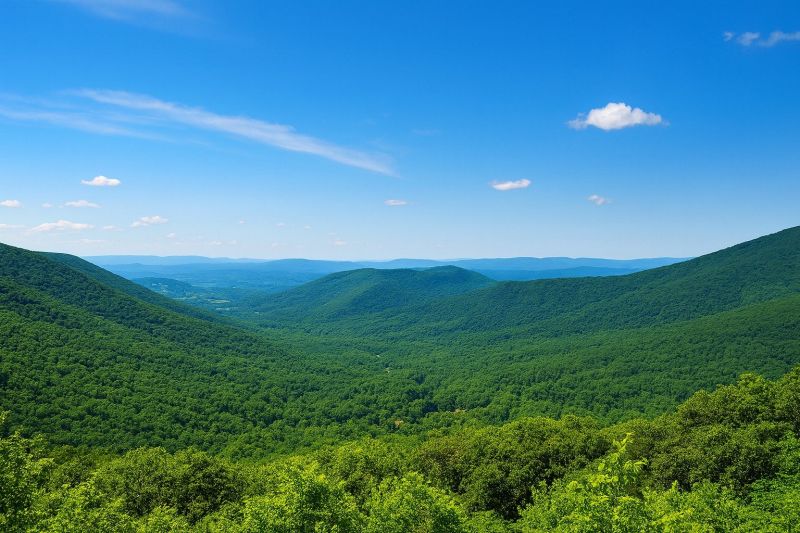 Best Bathroom Remodeling pros in Forest, VA